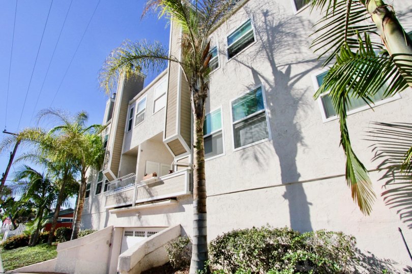 A resort in the Sandcastle Townhomes is peculiar with clear palm tree around.