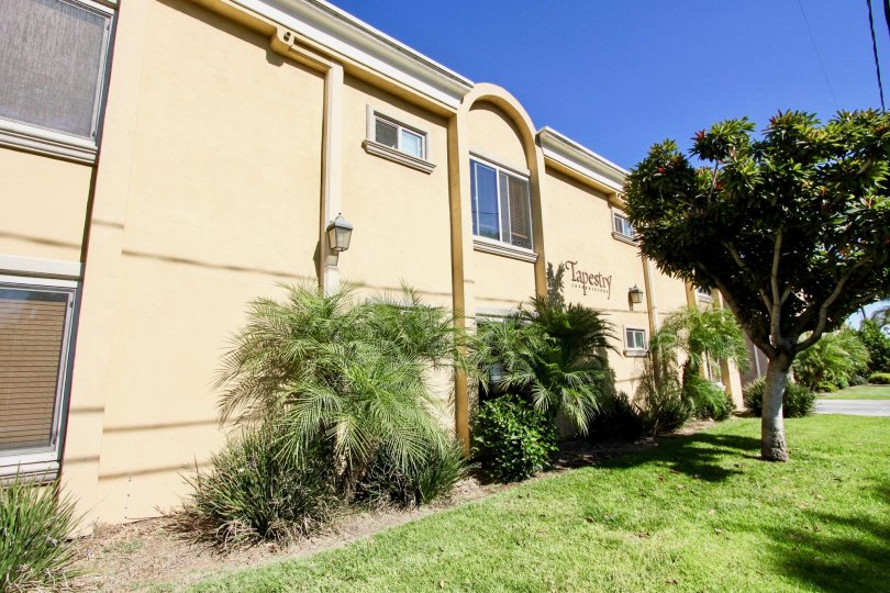 A yellow house with a lawn with some bushes and a tree during a sunny day in Tapestry, Imperial Beach, CA