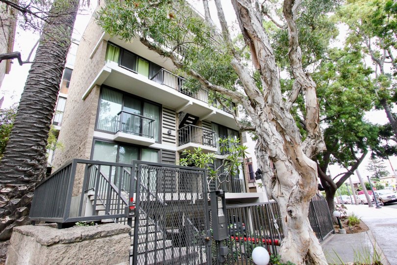 Apartment in 1250 cave street with tall trees and plants