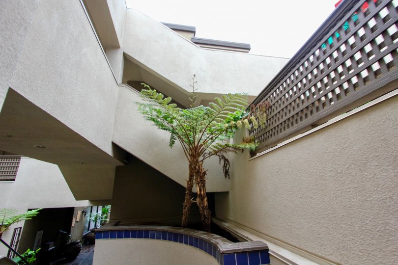 The villa in Bella Capri has a plants inside the entrance of the villa