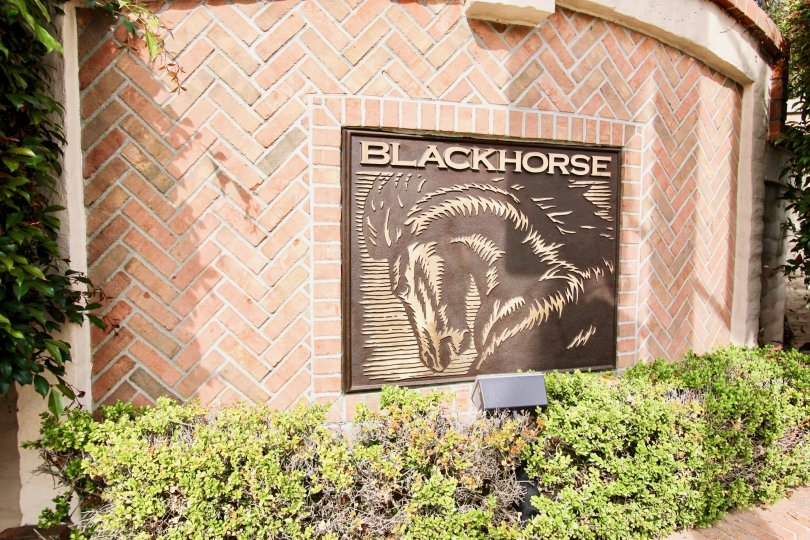 The building of Blackhorse shows the picture of horse in front gate