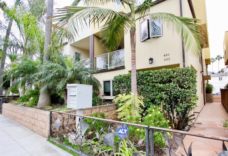 Purple flowers in front of condo hoe inside Bonair Street Condos in La Jolla CA