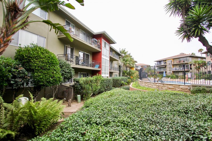 Three story gray residential units near ivy at Capri Aire in La Jolla CA