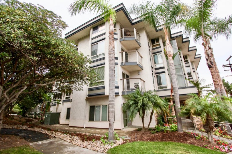 A four story property with palm trees and landscaping in Chateau Girard