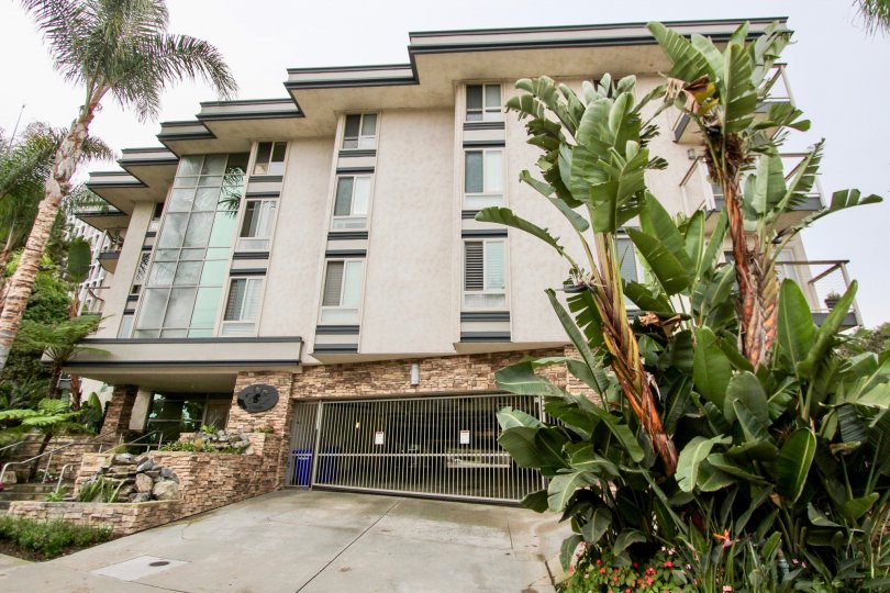 Beautiful trees and building in the community of Chateau Girard located in La Jolla, California