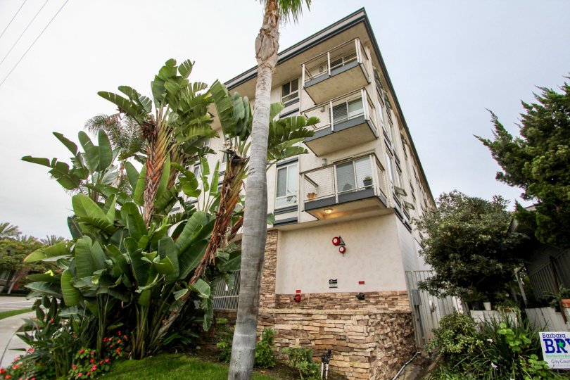Four story condos with tall trees at Chateau Girard in La Jolla California