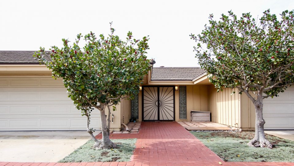 Same height textured trees as welcome for entrance door of Coromandel Park, La Jolla, California.