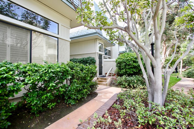 Two housing structures with a tree inside the Del Charro Woods in La Jolla CA