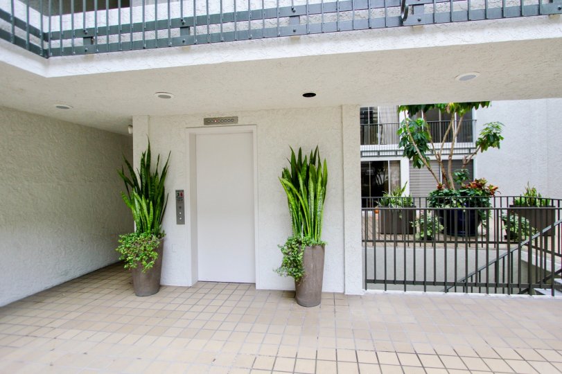 Two potted plants near elevator at the Devonshire in La Jolla CA