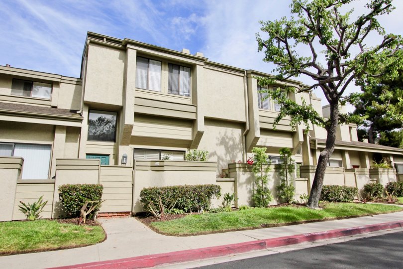 A tree in the Eastbluff giving apartment nice shade with elegant look.
