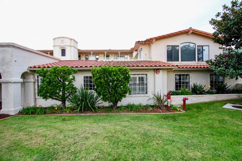 Backside of the villa has a garden with meadow and plants