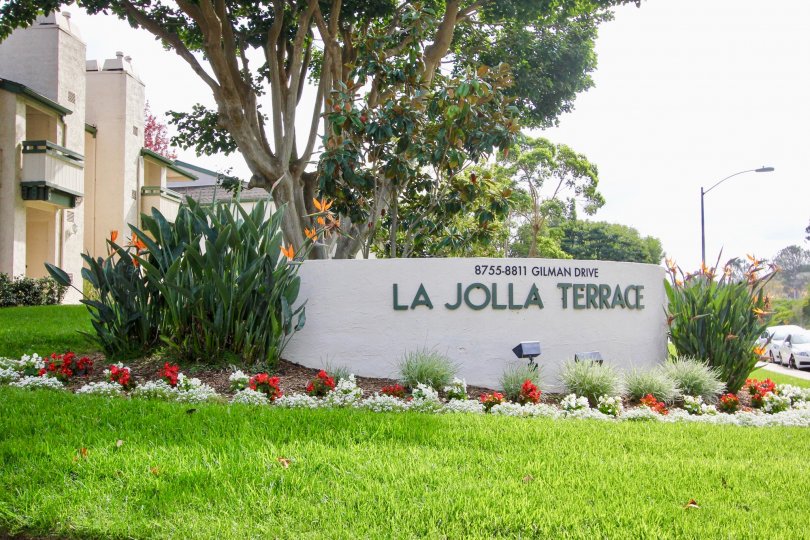 space of enjoying our beautiful moments in la jolla terrace