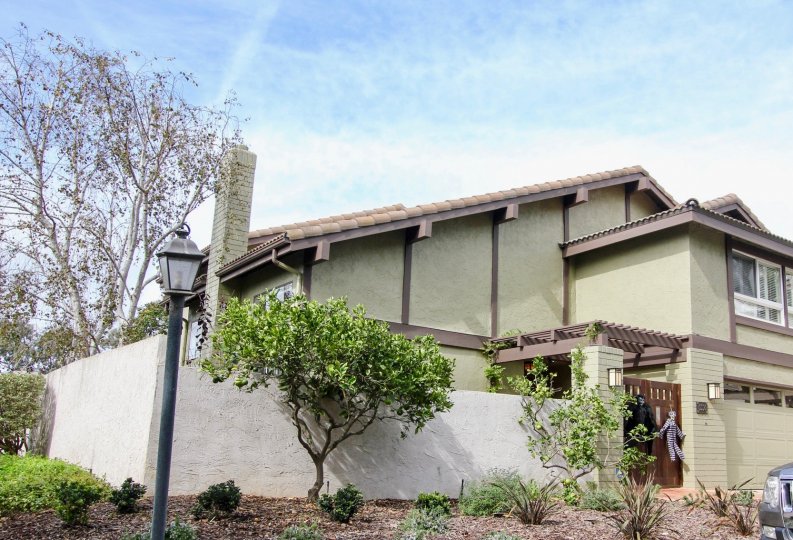 THE HOUSE IN THE LA JOLLA WOODS WITH THE FIG TREE, PLANTS, LIGHT