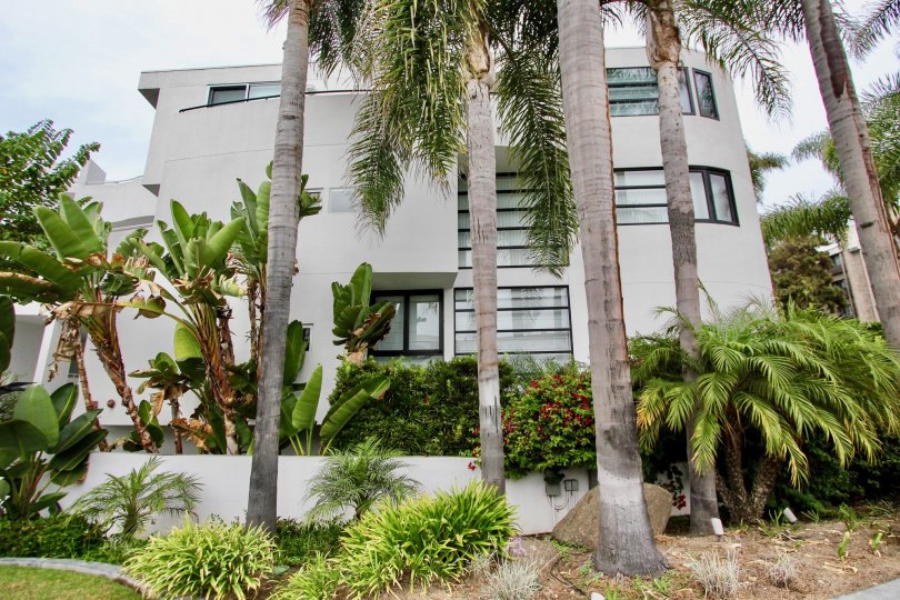 A white colored villa surrounded by trees in Lighthaus