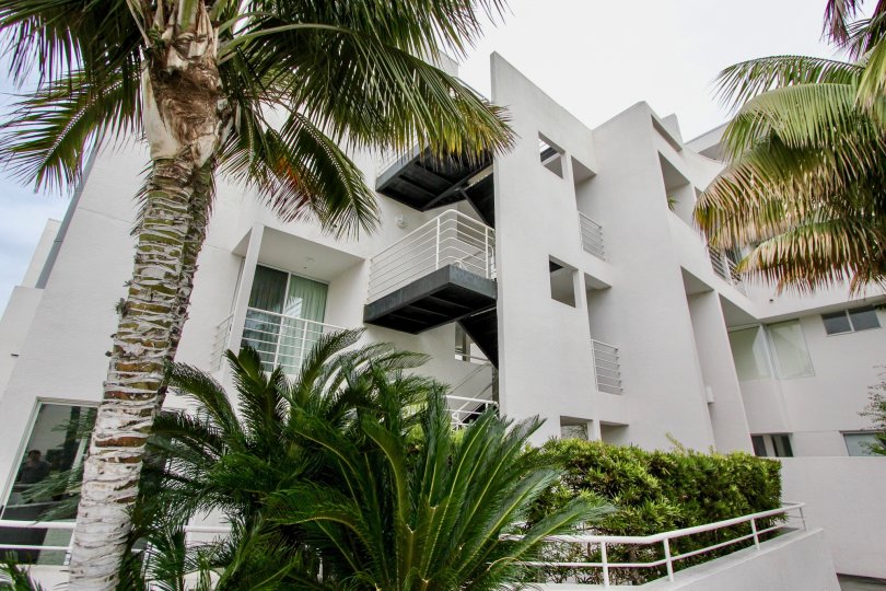 Apartment of the Lighthaus with balconies and trees for natural view