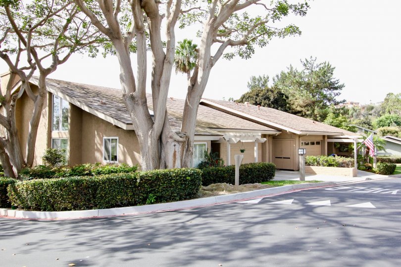 The outside of a unit in Mount La Jolla shwoing the multi-pane windows and shade trees.