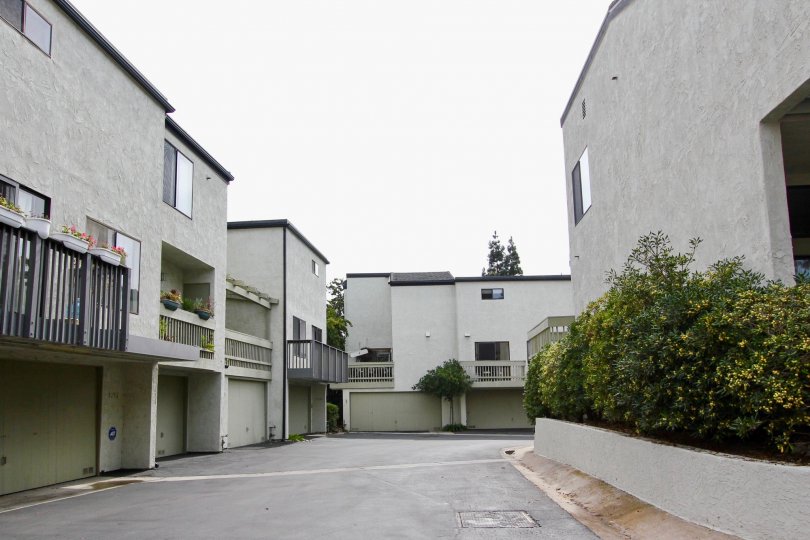 Ample spaced road with garage of The Woodlands with indoor plants.