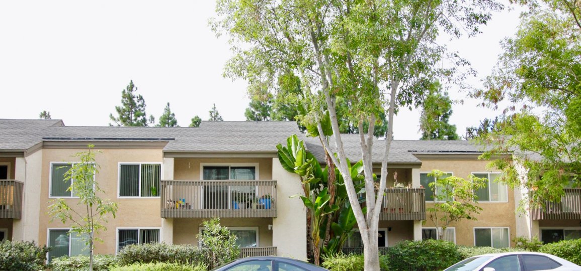 The street in the Villa La Jolla has many villas with trees and car parking the road