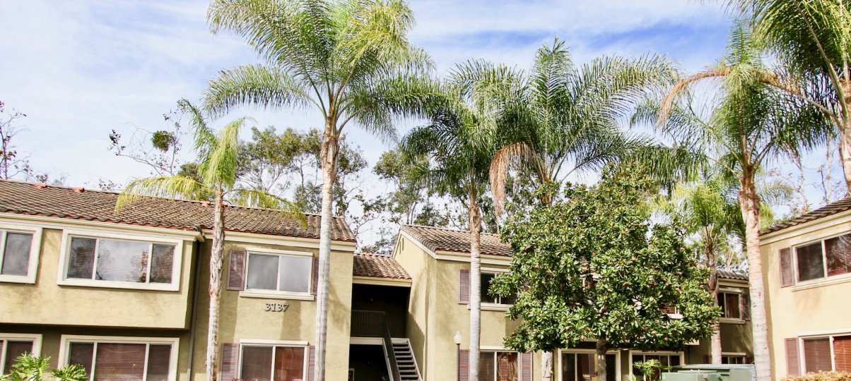 Villa Tuscana IN CALIFORNIA MOST ATTRACTIVE BUNGALOW NICE TREE COMFORTABLE STAYING PLACE CLIMATE CLEAN AREA