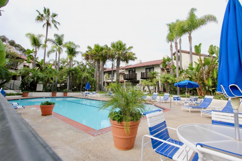 An empty swimming pool on a cloudy day with chairs, tables, plants and palm trees around apartments