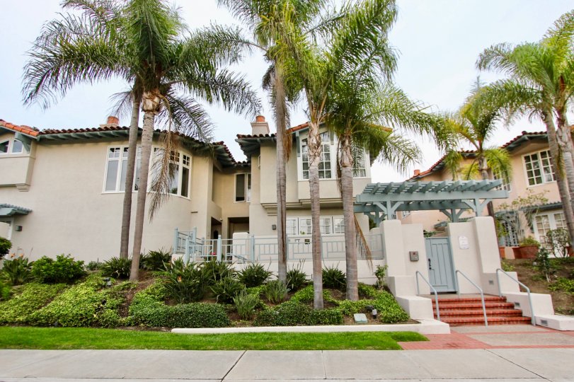 Palm trees and grassy lawn with steps to doorway at Villas of Ivanhoe in La Jolla, CA
