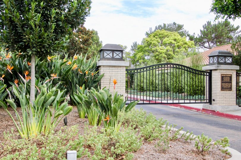 Two huge lights on the sides of a gate at Windemere in La Jolla