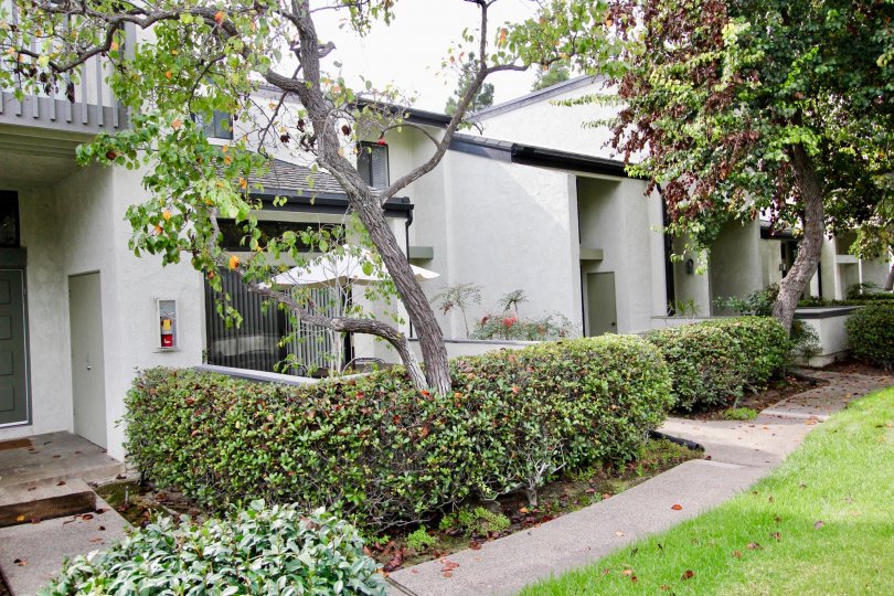 Green lawn in front of condos at Woodlands in La Jolla California