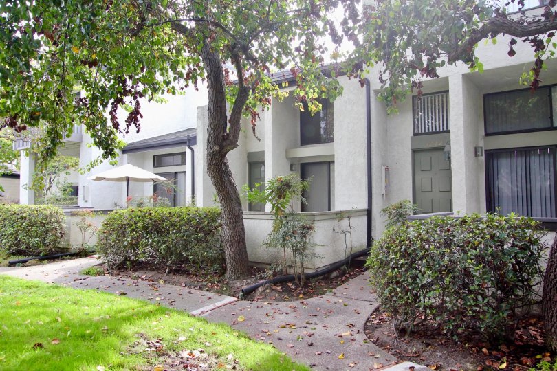 Walkway with a tree and building in the Woodlands Community in La Jolta, CA.