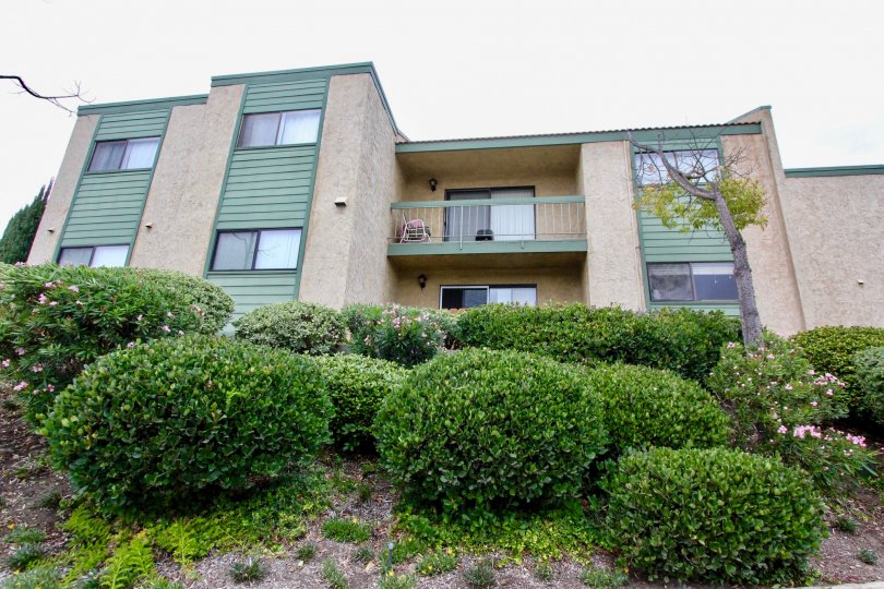 A sunny day in the area of Cypress Plaza, bushes, condos, balcony, trees, outside, window