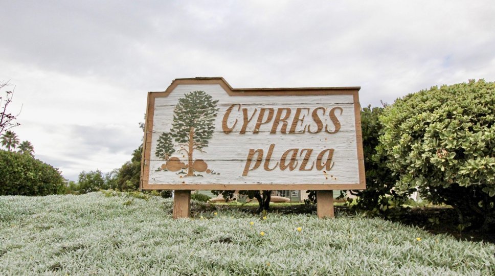 Fabulous green garden with trees in Cypress Plaza of La Mesa