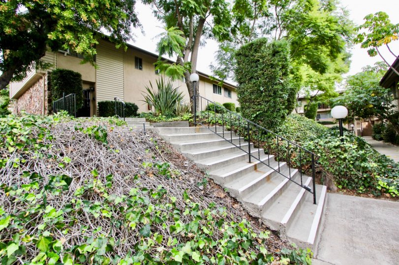 An entrance view with greenary of a villa in Grossmont Village of La Mesa