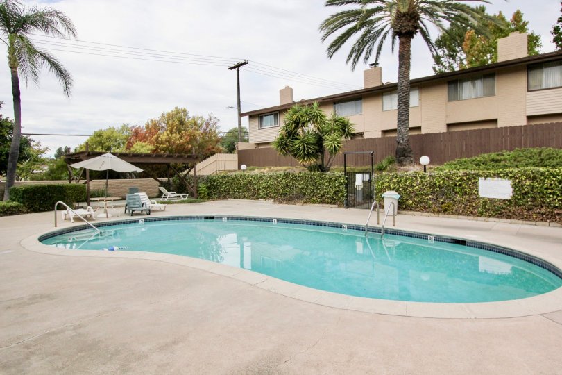 A sunny day in Grossmont Village house with beautiful garden and swimming pool
