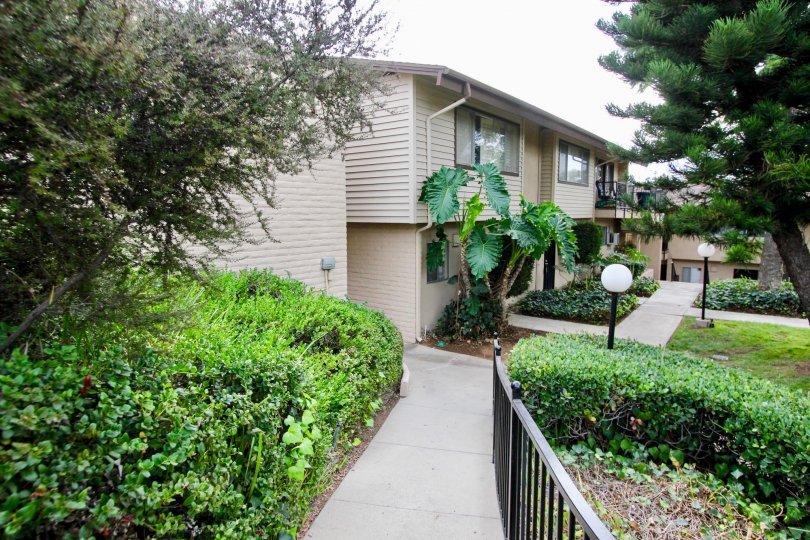 THE HOUSE IN THE GROSSMONT VILLAGE WITH THE BULP, GRASS, TREE, PLANTS