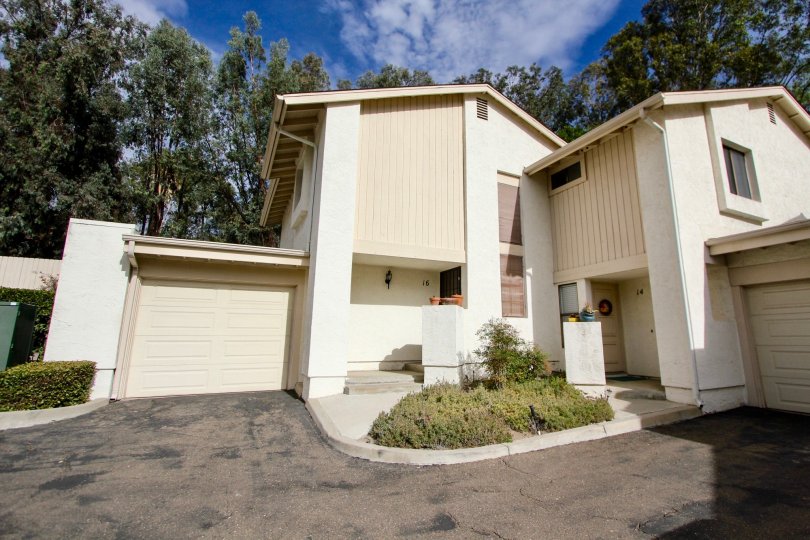 THIS IMAGE SHOWS THAT THE HOUSE IN THE HILLSIDE VILLAGE WHICH HAS BEEN SHUTTER, PLANTS, TREES