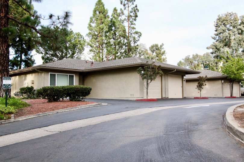 Beautiful approach with trees around villas in La Mesa Racquet & Swim Club