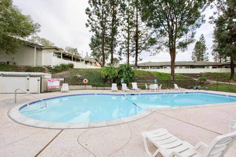 The La Mesa Racquet & Swim Club looks cool and fresh with tall trees around and a chair by pool side