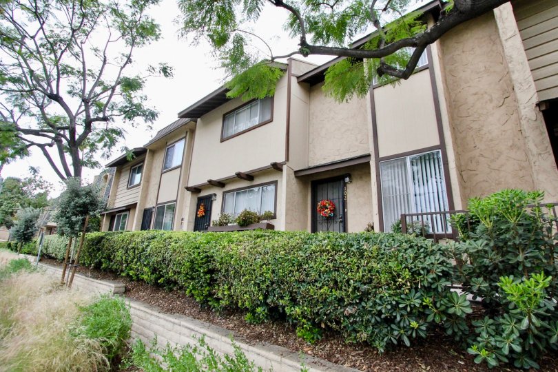 A sunny day in the La Mesa Village with residential building and trees.