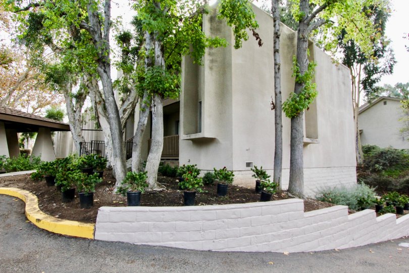 The La Mirianda with tall trees and small plants around