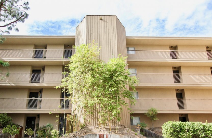 the Lake Park with number of side windows and greenary around
