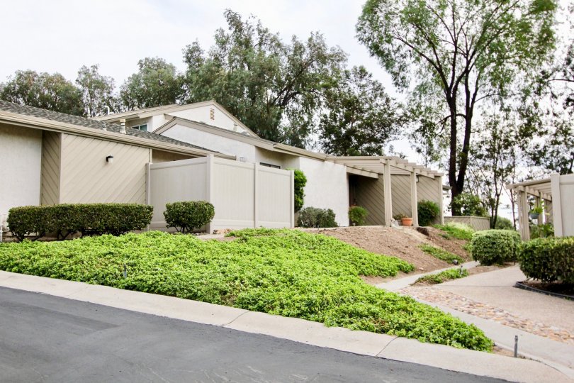 A day in the Smoke Tree with a nice house and trees.