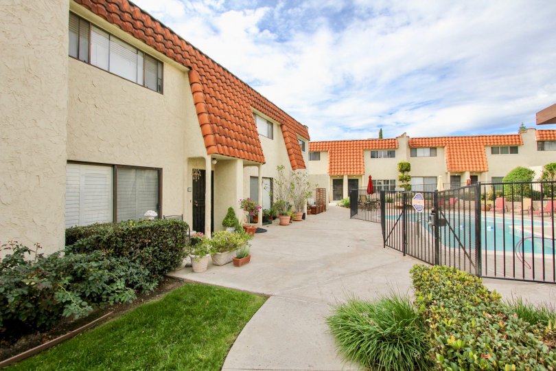 A sunny day in the Tangerine Terrace with a garden and swimming pool.