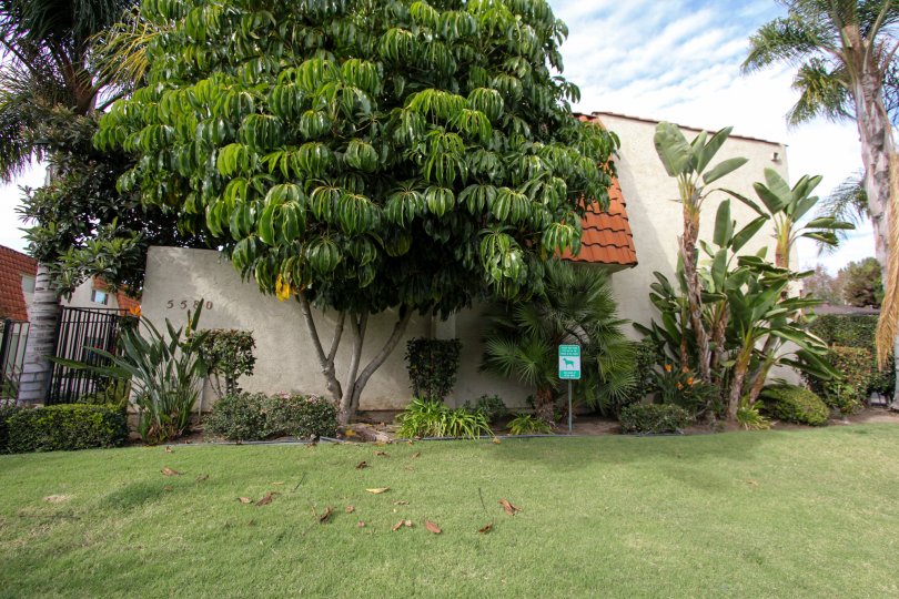 The front side entrance of the Tangerine Terrace with grass around