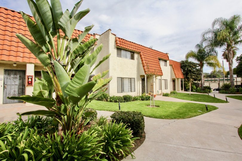A bright building overlooking a green landscape in La Mesa, CA.
