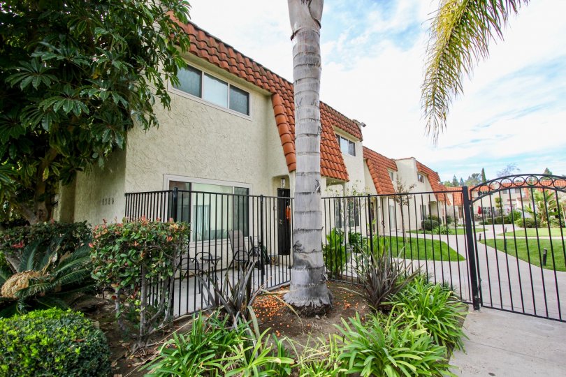 A sunny day in Tangerine Terrace villa with beautiful garden