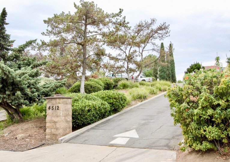 Villa Mesa Parks La Mesa California garden with road to drive in