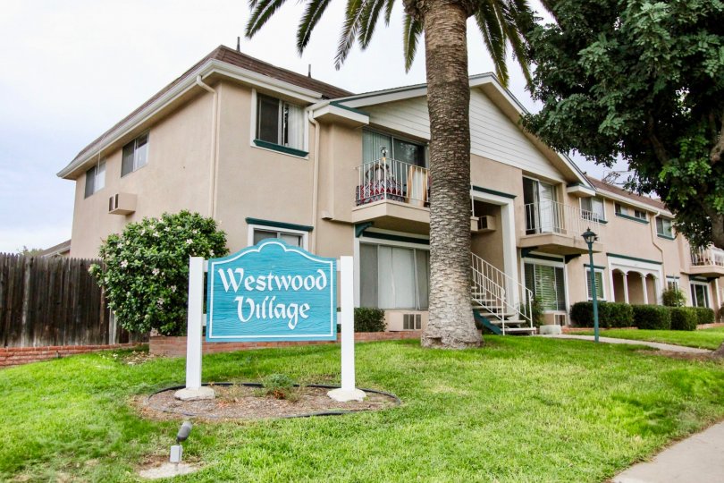 Condo n Westwood Village in La Mesa, Calofirnia, Has green grass and palm right in front yard