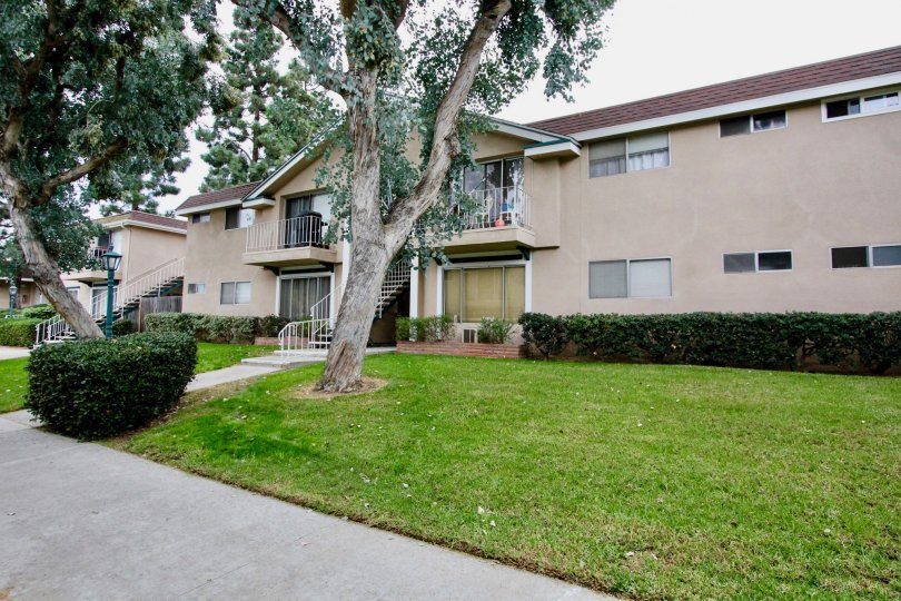 A sunny day in the Westwood Village with residential building and trees.