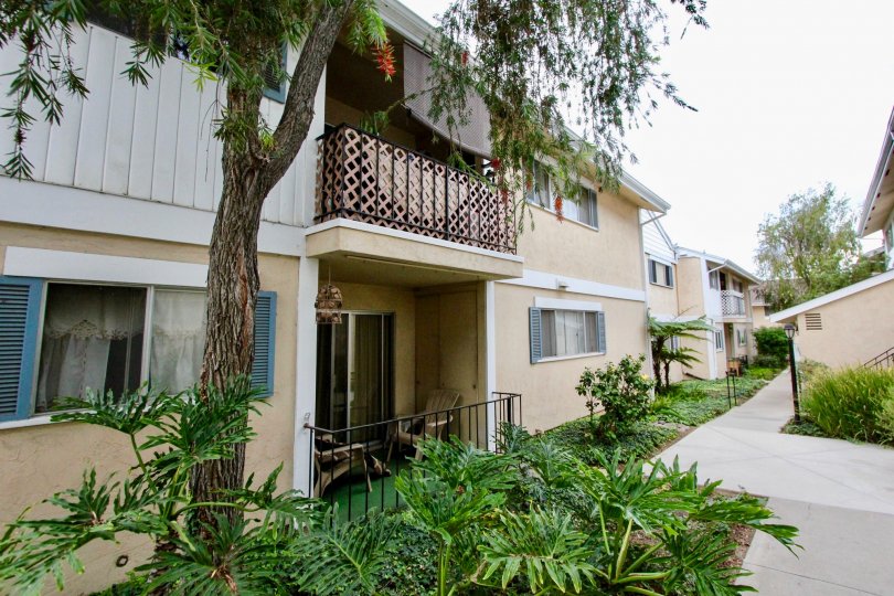 Williamsburg Square La Mesa California house with green garden