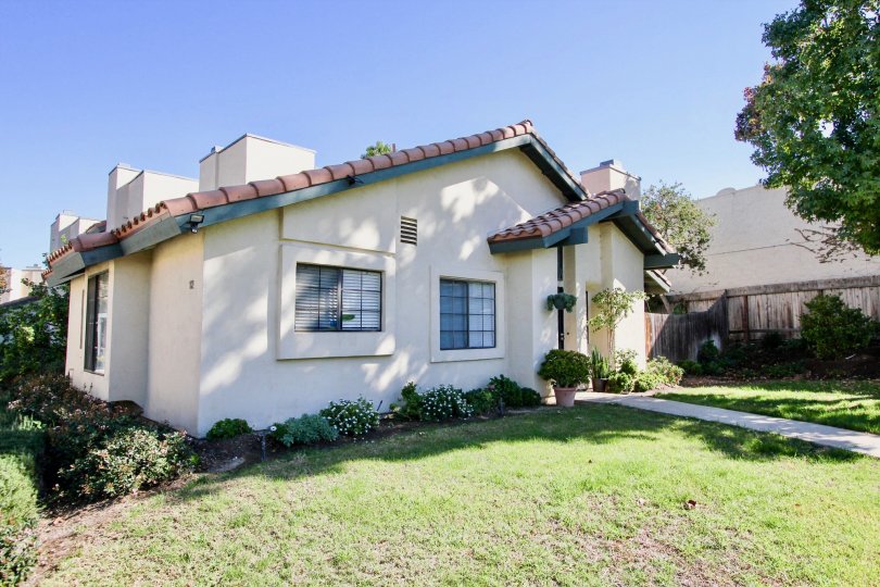 A Beautiful green lawn in front of Marvellous House with trees in Black Mountain Villas of Mira Mesa