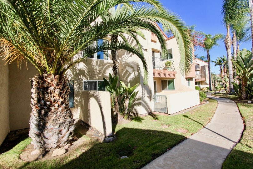 Casa New Salem in Mira Mesa, California, Nature surrounds in Mira Mesa, Peaceful minds generated in Mira Mesa